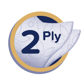 2 ply thickness